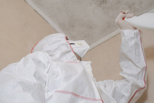 Water Damage Restoration in Burnham, PA