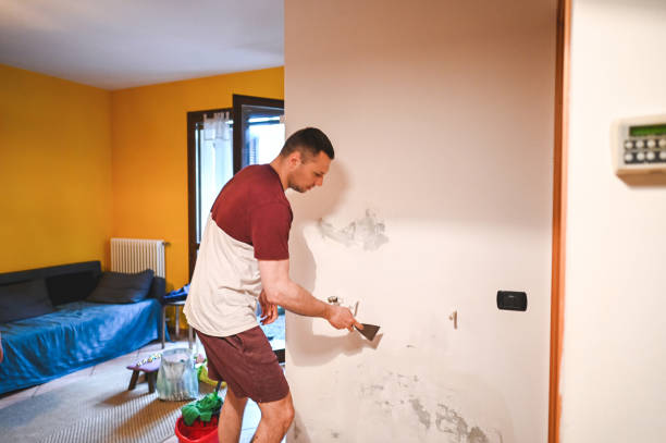 Best Certified Mold Removal  in Burnham, PA